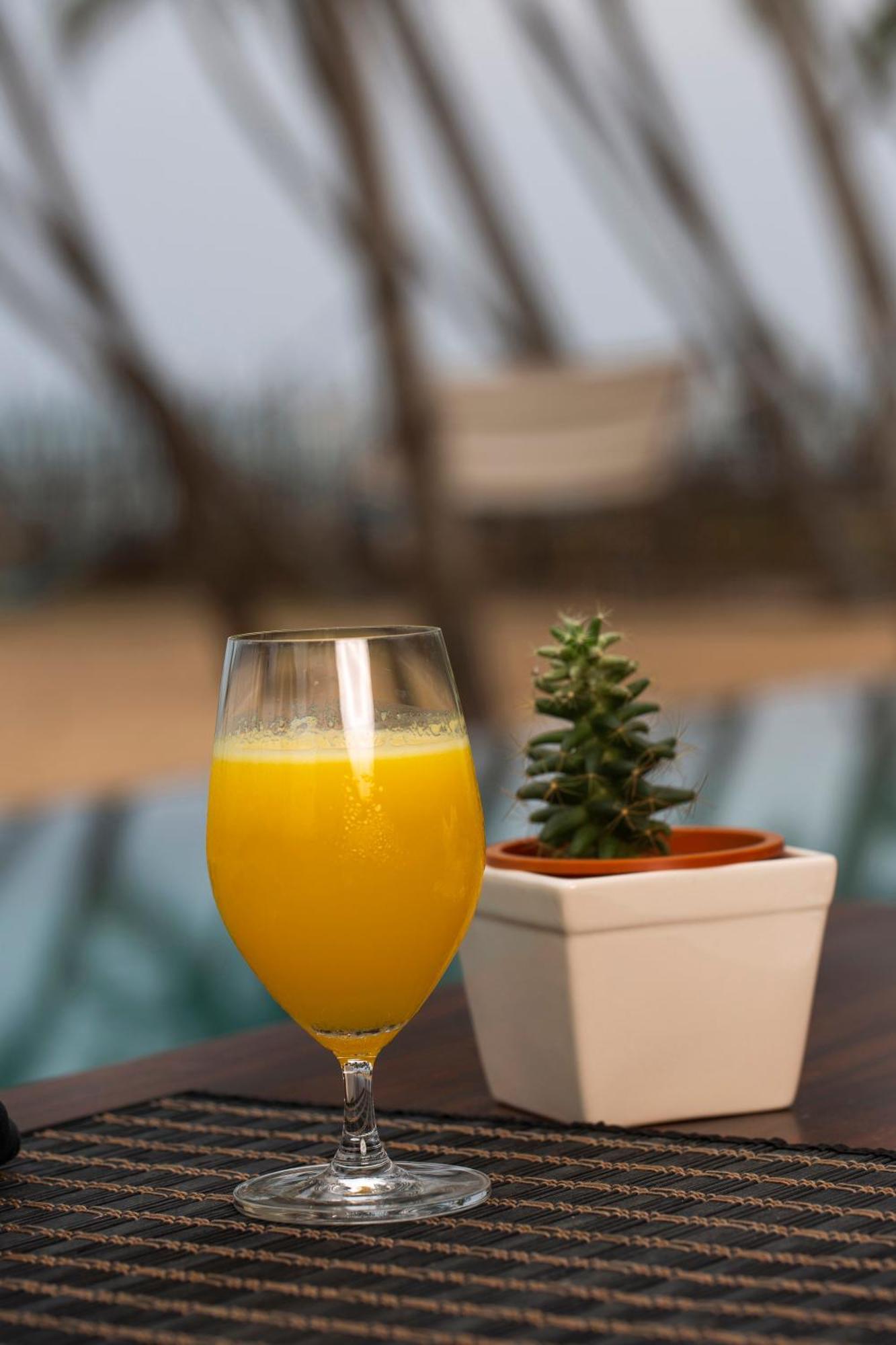 Serendivi Resort Villa Kahandamodara Екстериор снимка